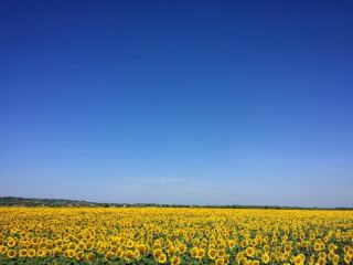 Ntdsapi.dll Active Directory : rôle et correction