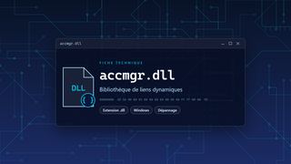 Visuel technique du fichier accmgr.dll, bibliothèque de liens dynamiques de Windows