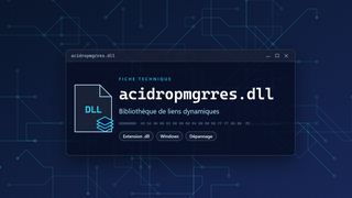 Visuel technique du fichier acidropmgrres.dll, bibliothèque de liens dynamiques de Windows