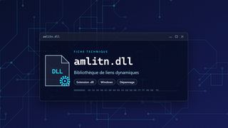 Visuel technique du fichier amlitn.dll, bibliothèque de liens dynamiques de Windows