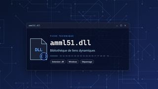 Visuel technique du fichier amml51.dll, bibliothèque de liens dynamiques de Windows