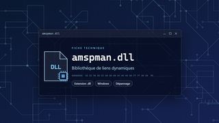 Visuel technique du fichier amspman.dll, bibliothèque de liens dynamiques de Windows