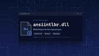 Visuel technique du fichier ansiintlbr.dll, bibliothèque de liens dynamiques de Windows