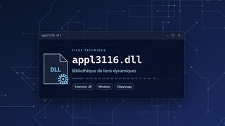 Visuel technique du fichier appl3116.dll, bibliothèque de liens dynamiques de Windows