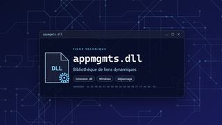 Visuel technique du fichier appmgmts.dll, bibliothèque de liens dynamiques de Windows