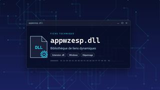 Visuel technique du fichier appwzesp.dll, bibliothèque de liens dynamiques de Windows