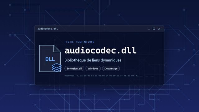 Erreur audiocodec.dll : causes et solutions Visuel technique du fichier audiocodec.dll, bibliothèque de liens dynamiques de Windows