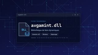 Visuel technique du fichier avgamint.dll, bibliothèque de liens dynamiques de Windows