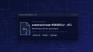 Visuel technique du fichier axmetastream-0302021c-.dll, bibliothèque de liens dynamiques de Windows