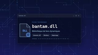Visuel technique du fichier bantam.dll, bibliothèque de liens dynamiques de Windows