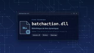 Visuel technique du fichier batchaction.dll, bibliothèque de liens dynamiques de Windows
