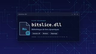 Visuel technique du fichier bitslice.dll, bibliothèque de liens dynamiques de Windows