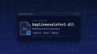 Visuel technique du fichier bsplineevalsfnv1.dll, bibliothèque de liens dynamiques de Windows