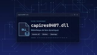 Visuel technique du fichier capires0407.dll, bibliothèque de liens dynamiques de Windows