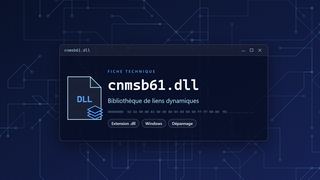 Visuel technique du fichier cnmsb61.dll, bibliothèque de liens dynamiques de Windows