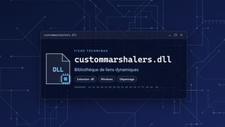 Visuel technique du fichier custommarshalers.dll, bibliothèque de liens dynamiques de Windows