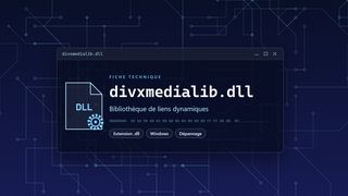 Visuel technique du fichier divxmedialib.dll, bibliothèque de liens dynamiques de Windows