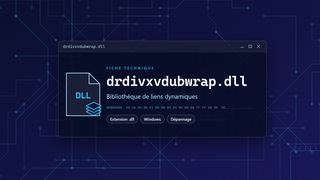 Visuel technique du fichier drdivxvdubwrap.dll, bibliothèque de liens dynamiques de Windows