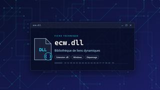 Visuel technique du fichier ecw.dll, bibliothèque de liens dynamiques de Windows