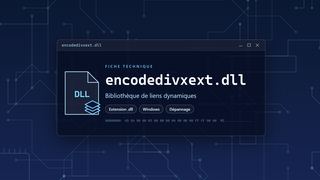 Visuel technique du fichier encodedivxext.dll, bibliothèque de liens dynamiques de Windows