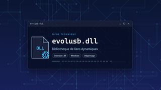Visuel technique du fichier evolusb.dll, bibliothèque de liens dynamiques de Windows