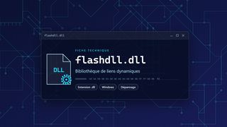 Visuel technique du fichier flashdll.dll, bibliothèque de liens dynamiques de Windows