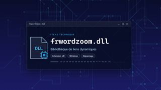 Visuel technique du fichier frwordzoom.dll, bibliothèque de liens dynamiques de Windows