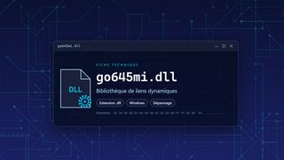 Visuel technique du fichier go645mi.dll, bibliothèque de liens dynamiques de Windows