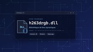 Visuel technique du fichier h263drgb.dll, bibliothèque de liens dynamiques de Windows