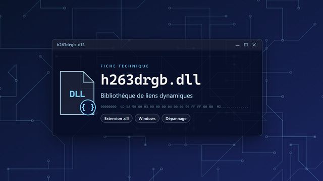 Erreur h263drgb.dll : causes et solutions Visuel technique du fichier h263drgb.dll, bibliothèque de liens dynamiques de Windows