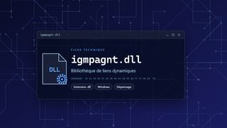 Visuel technique du fichier igmpagnt.dll, bibliothèque de liens dynamiques de Windows