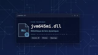 Visuel technique du fichier jvm645mi.dll, bibliothèque de liens dynamiques de Windows