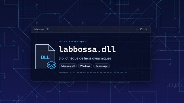 Erreur labbossa.dll : causes et solutions Visuel technique du fichier labbossa.dll, bibliothèque de liens dynamiques de Windows