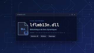 Visuel technique du fichier lflmb13n.dll, bibliothèque de liens dynamiques de Windows