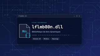 Visuel technique du fichier lflmb80n.dll, bibliothèque de liens dynamiques de Windows