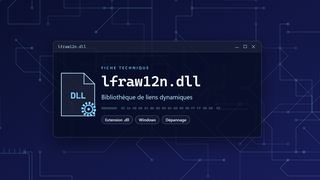Visuel technique du fichier lfraw12n.dll, bibliothèque de liens dynamiques de Windows