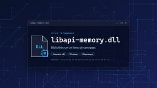 Visuel technique du fichier libapi-memory.dll, bibliothèque de liens dynamiques de Windows