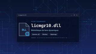 Visuel technique du fichier licmgr10.dll, bibliothèque de liens dynamiques de Windows