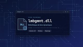 Visuel technique du fichier lmbgmnt.dll, bibliothèque de liens dynamiques de Windows