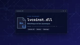 Visuel technique du fichier lvcoinst.dll, bibliothèque de liens dynamiques de Windows