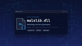 Visuel technique du fichier malslib.dll, bibliothèque de liens dynamiques de Windows
