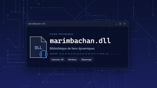 Visuel technique du fichier marimbachan.dll, bibliothèque de liens dynamiques de Windows