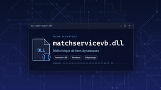 Visuel technique du fichier matchservicevb.dll, bibliothèque de liens dynamiques de Windows