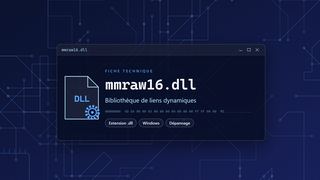 Visuel technique du fichier mmraw16.dll, bibliothèque de liens dynamiques de Windows