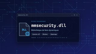 Visuel technique du fichier mmsecurity.dll, bibliothèque de liens dynamiques de Windows