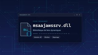 Visuel technique du fichier msaajawssrv.dll, bibliothèque de liens dynamiques de Windows