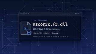 Visuel technique du fichier mscorrc.fr.dll, bibliothèque de liens dynamiques de Windows