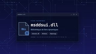 Visuel technique du fichier msddsui.dll, bibliothèque de liens dynamiques de Windows