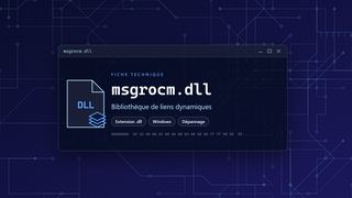Visuel technique du fichier msgrocm.dll, bibliothèque de liens dynamiques de Windows