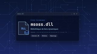 Visuel technique du fichier msoss.dll, bibliothèque de liens dynamiques de Windows